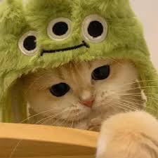 อัยยวัฒน์ ศรีวัฒนประภา avatar